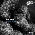 mr. bizz - Indigo