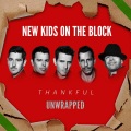 New Kids On the Block、DMX - We Were Here