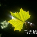 马光旭 - 九十九步