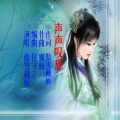 傲雪藏梅 - 声声叹息