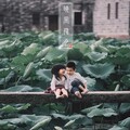 洪尘 - 晓风残月