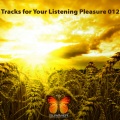 Seven24 - Perfect Day (Original Mix)