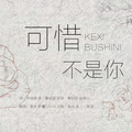 裂天 - 可惜不是你