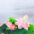 雨言 - 庄子《逍遥游》