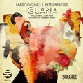 Peter Mayzer、Marco Ginelli - Iguana (Original Mix)