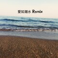 Toy周顺、薄荷味 - 爱如潮水 remix