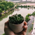 张西分 - 回礼