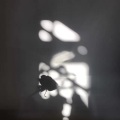 冯硕 - 秦淮