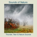 Sounds Of Nature - Thunder And Hard Rain