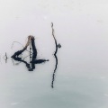 木筏 - Calm