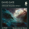 David Gate----[replace by 72022] - Stringer Requiem Opus II (Original Mix)