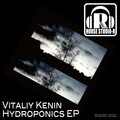 Vitaliy Kenin - Hydroponics (Original Mix)