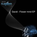 David - Flower Mind (Original Remix)
