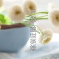 亓扬、七星 - 盖世英雄