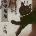 孟楠 - 硬邦邦