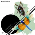 Loris Zerola - Tom & Sons (Original Mix)