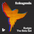 funkagenda - Budgie (Original Club Mix)