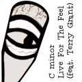 C Minor、Terry Grant - Live for the Feel