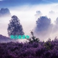 我还是爱你