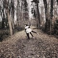 Mehrad Hidden、Tara Holtea - Pas Chi Shod