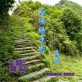 枫桥 - 品读鹞子尖