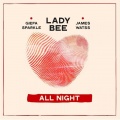 James Watss、Lady Bee、Giefa Sparkle - All Night (Original Mix)(Remix)