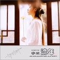 陈宝钦 - 踏雪寻梅