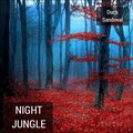 Duck Sandoval - Night Jungle