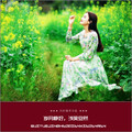 陈宝钦 - 红尘醉梦