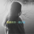 顾小笙 - 我喜欢你