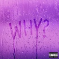 Why (Explicit)