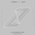 Ibranovski、DJ Snake、Lauv - A Different Way (Ibranovski Remix)