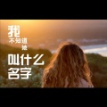 贾锦江 - 我不知道她叫什么名字