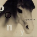 Pony (Extended Mix)