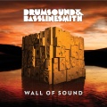 Bassline Smith、Tom Cane、Drumsound - Through The Night