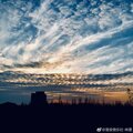 林墨 - 外面的世界「黄其淋