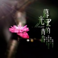 逸郁兰心 - 暮光里的青春