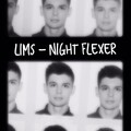 Lims - Модель