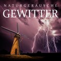 Regengeräusche Orchester - Gewittergeräusche, Pt 01