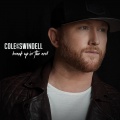 Cole Swindell - Break Up in the End