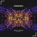 Marc Brothers - Spacecake (Original Mix)(Remix)