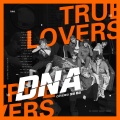 猫亦织毛衣、凉君w - DNA