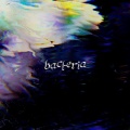 Cavalier - Bacteria