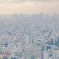 Sauvage - Tokyo