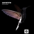 Sam Rotstin - Lockdown (Original Mix)