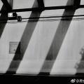 林墨 - 小半