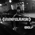 祁南夕 - 我在梦里见过你
