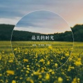 李丹阳、李晓东 - 最美的时光