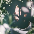 Henry Green - Something