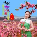 竹叶儿 - 请到桃乡肥城来